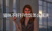 貓咪不好好吃飯怎么解決(貓咪夏天不好好吃飯怎么辦)