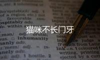 貓咪不長(zhǎng)門(mén)牙