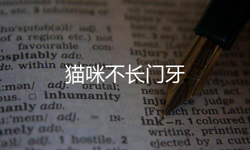 貓咪不長門牙