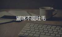 貓咪不能吐毛