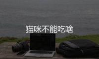 貓咪不能吃啥