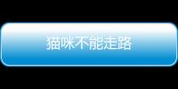 貓咪不能走路