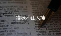 貓咪不讓人摟