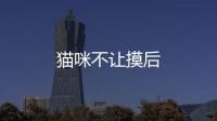 貓咪不讓摸后