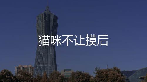 貓咪不讓摸后