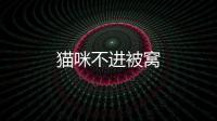 貓咪不進(jìn)被窩