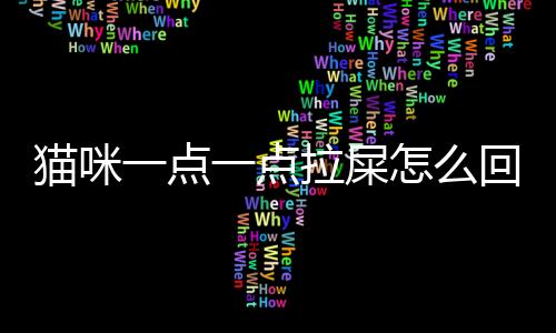 貓咪一點一點拉屎怎么回事(貓咪一點一點拉屎怎么辦)