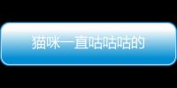 貓咪一直咕咕咕的