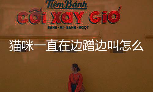 貓咪一直在邊蹭邊叫怎么回事？貓咪一直在邊蹭邊叫怎么辦