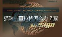 貓咪一直拉稀怎么辦？貓咪一只拉稀時間久了會怎么樣