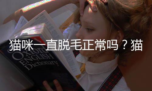 貓咪一直脫毛正常嗎？貓咪一直脫毛是怎么回事