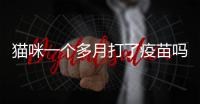 貓咪一個多月打了疫苗嗎有影響嗎？貓咪一個多月打了疫苗嗎會怎么樣