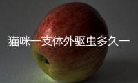 貓咪一支體外驅蟲多久一次