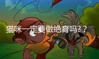 貓咪一定要做絕育嗎?？母貓為什么不建議絕育