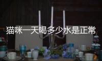貓咪一天喝多少水是正常(貓咪一次性喝多少水合適)
