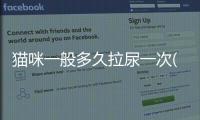 貓咪一般多久拉尿一次(貓咪多久拉尿一次)