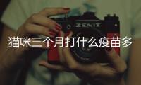 貓咪三個月打什么疫苗多少錢？貓咪三個月該打什么針