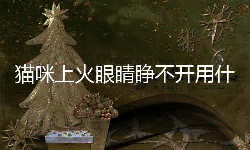 貓咪上火眼睛睜不開用什么眼藥水(貓咪上火眼屎多怎么辦)