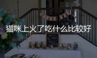 貓咪上火了吃什么比較好？貓咪上火了吃什么藥