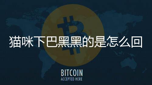 貓咪下巴黑黑的是怎么回事(貓咪下巴黑黑的點點是什么)