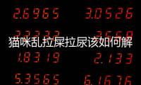 貓咪亂拉屎拉尿該如何解決(貓咪亂拉亂尿是什么原因)