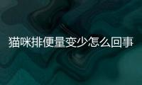 貓咪排便量變少怎么回事？貓咪排便量變少怎么辦