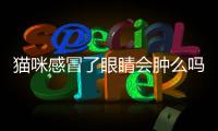 貓咪感冒了眼睛會腫么嗎？貓咪感冒引起的眼睛流淚