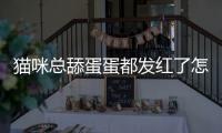 貓咪總舔蛋蛋都發紅了怎么回事？貓咪老是舔蛋
