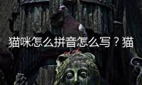 貓咪怎么拼音怎么寫？貓怎么拼音怎么拼寫