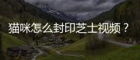 貓咪怎么封印芝士視頻？如何封印一只貓