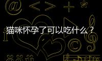 貓咪懷孕了可以吃什么？貓咪懷孕期間能吃些什么