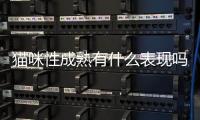 貓咪性成熟有什么表現嗎(貓咪性成熟有什么表現癥狀)