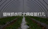 貓咪抓傷狂犬病疫苗打幾針(貓咪打了狂犬病疫苗抓傷人人需要打針嗎)