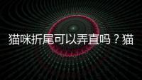 貓咪折尾可以弄直嗎？貓咪折尾什么原因造成的