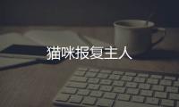 貓咪報復主人