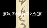 貓咪拒絕進食怎么辦(貓咪拒絕刷牙怎么辦)