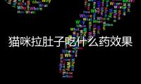 貓咪拉肚子吃什么藥效果好(貓咪拉肚子怎么解決)