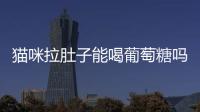 貓咪拉肚子能喝葡萄糖嗎有用嗎？貓咪拉肚子能喝葡萄糖嗎一天幾次