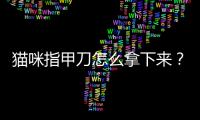 貓咪指甲刀怎么拿下來？貓咪指甲刀怎么拿掉
