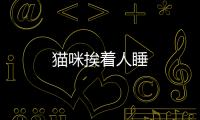 貓咪挨著人睡
