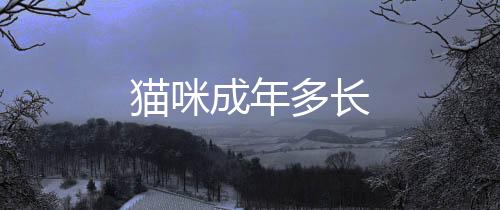 貓咪成年多長