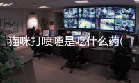 貓咪打噴嚏是吃什么藥(貓咪打噴嚏是什么原因)