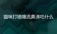 貓咪打噴嚏流鼻涕吃什么藥(貓咪打噴嚏流鼻涕眼淚吃什么藥好)