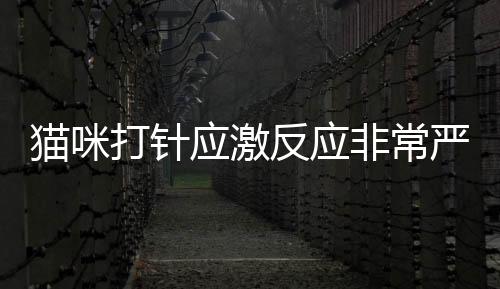 貓咪打針應激反應非常嚴重