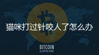 貓咪打過針咬人了怎么辦？貓咪打了針咬了人,人還要打針嗎?