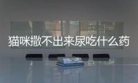 貓咪撒不出來尿吃什么藥？貓咪撒不出來尿咋辦