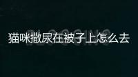 貓咪撒尿在被子上怎么去除味道(貓咪撒尿在被子上是什么原因)