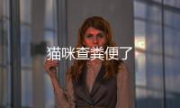 貓咪查糞便了