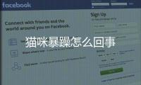 貓咪暴躁怎么回事