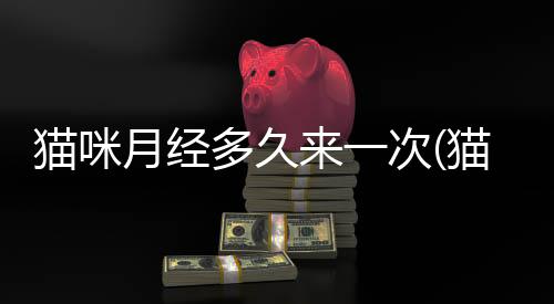 貓咪月經多久來一次(貓咪月經流血一般幾天)
